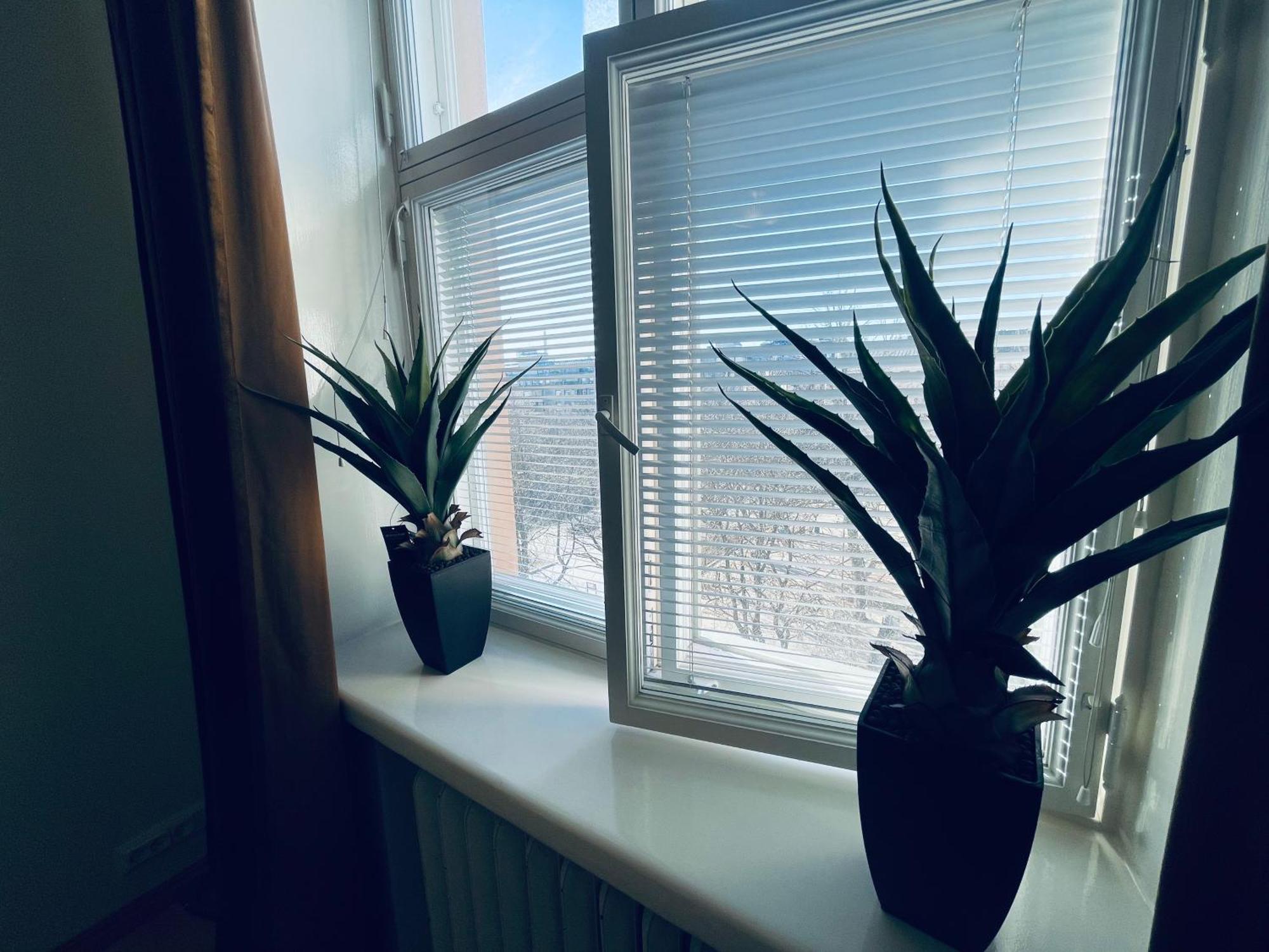Stay Kamppi Seaside Apartment 赫尔辛基 外观 照片